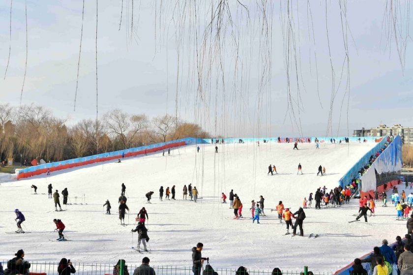 团泊湖乐乐岛冰雪嘉年华展示图片1