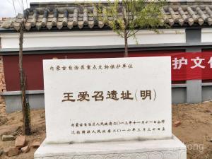 王爱召展示图片0