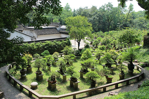 万景山庄展示图片1