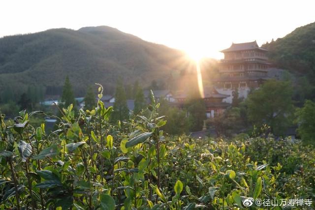 万寿禅寺展示图片7