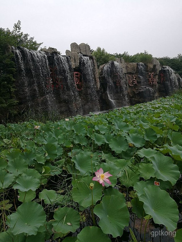 微山湖千岛湿地景区展示图片5