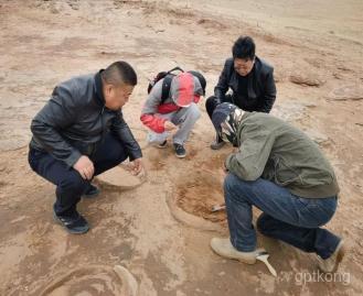 西鄂尔多斯国家级自然保护区展示图片1