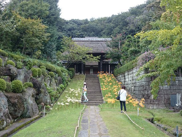 西方寺展示图片0