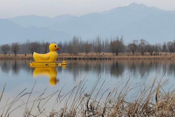 野鸭湖湿地博物馆展示图片1