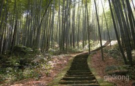 五峰山林海展示图片0