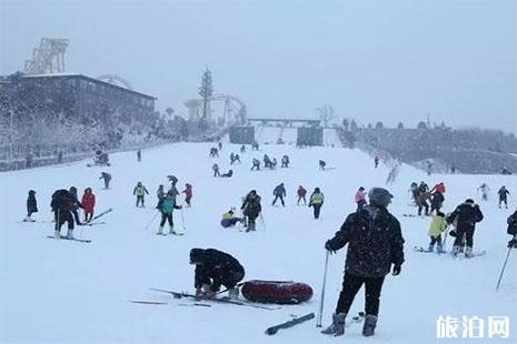 五龙山滑雪场展示图片3