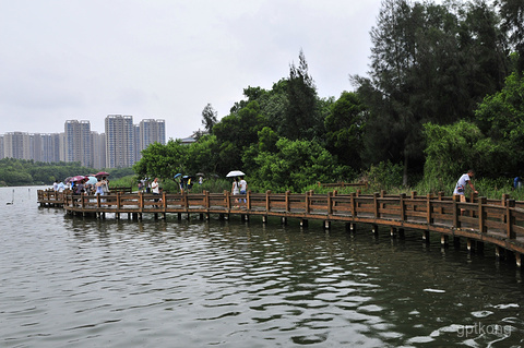 五缘湾文谷旅游区展示图片3