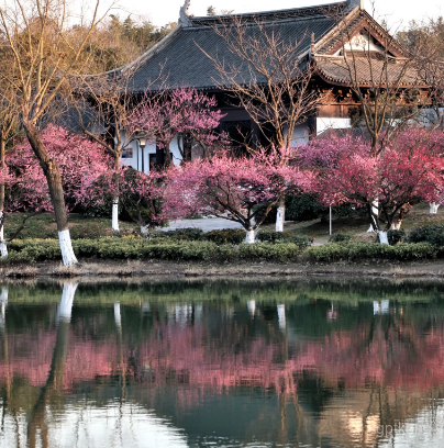 香山展示图片5