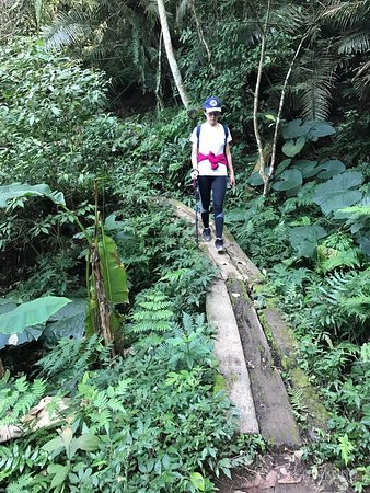 溪洲山登山步道展示图片0