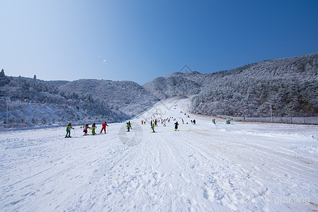 亚布力雪龙滑雪场展示图片3