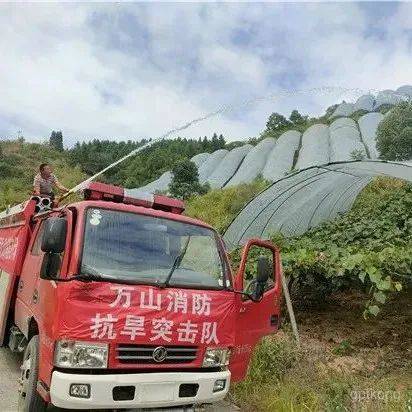 延庆千亩葡萄基地展示图片4