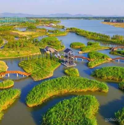 燕王湖湿地生态园展示图片0