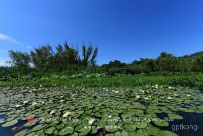 燕王湖湿地生态园展示图片1