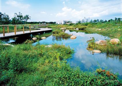 燕王湖湿地生态园展示图片2