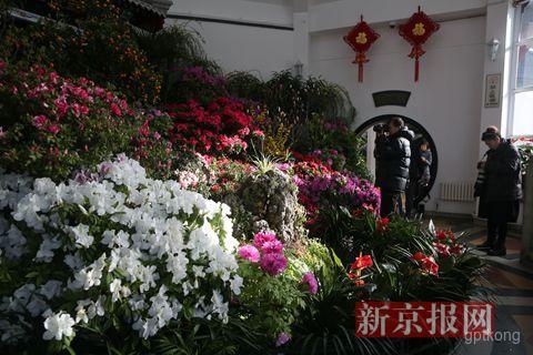 迎春公园展示图片1