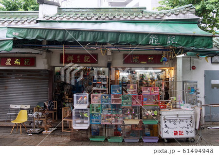 园圃街雀鸟花园展示图片2