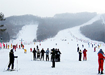 玉泉兴旺滑雪场展示图片2