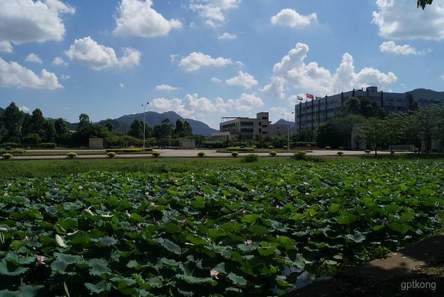 中山大学珠海校区展示图片4