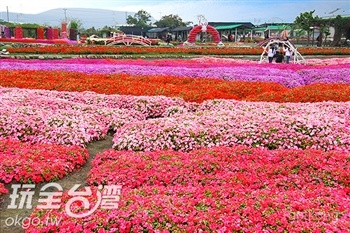 中社觀光花市展示图片2