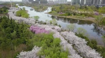 浞河景区展示图片1