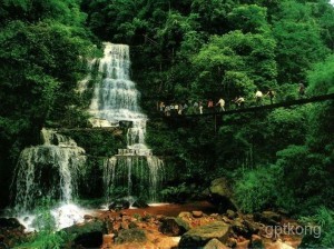 自怀原始森林风景区展示图片0